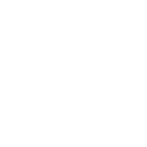 Secure Payment